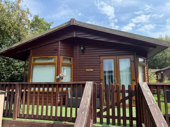 Omar Kingfisher Lodge - Image 2